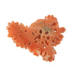 Salmon Coral Cabochon carved floral basket, natural, untreated.  b4-cor480